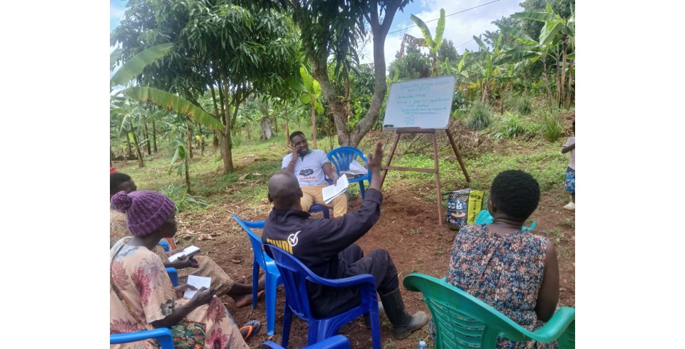 Photo Credit: Ngombor Community Development Alliance Photo Credit: Ngombor Community Development Alliance